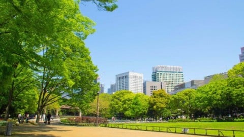 造園・公園整備工事